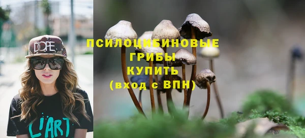 шишки Абаза