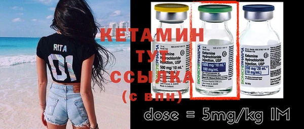 шишки Абаза