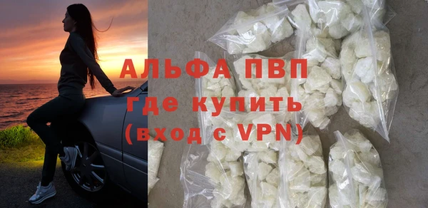 шишки Абаза