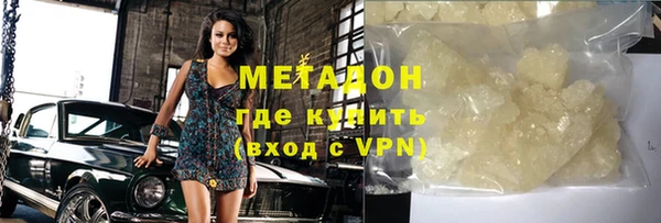 шишки Абаза