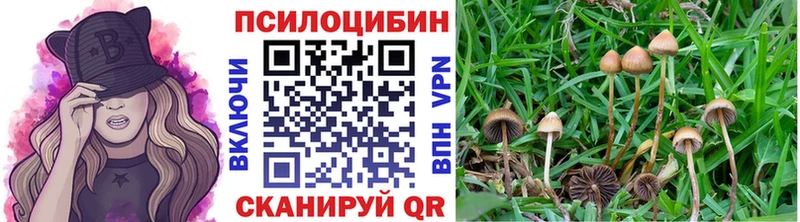 Псилоцибиновые грибы прущие грибы  Нижний Новгород 